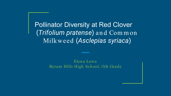 pollinator diversity at red clover trifolium pratense and