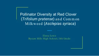 Pollinator Diversity at Red Clover ( Trifolium pratense ) and Com m on Milkweed ( Asclepias syriaca