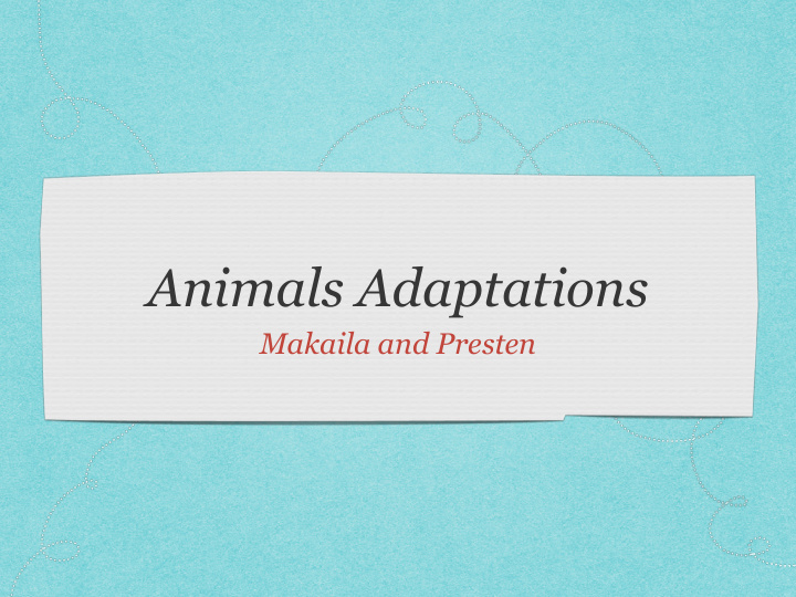 animals adaptations