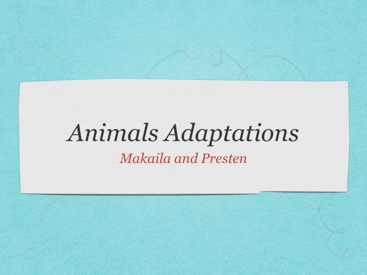 animals adaptations