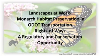 Landscapes at Work-  Monarch Habitat Preservation in  ODOT Transportation  Rights-of Ways  A