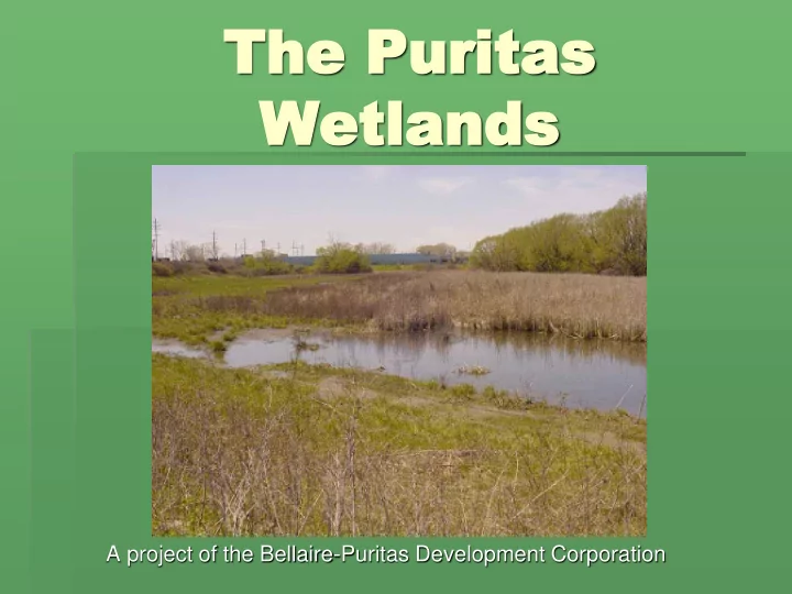 the puritas the puritas