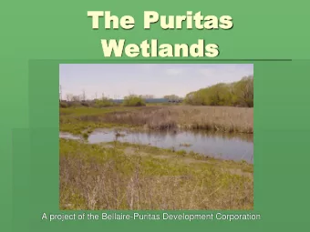 The Puritas  The Puritas  Wetlands  Wetlands  A project of the Bellaire-Puritas Development