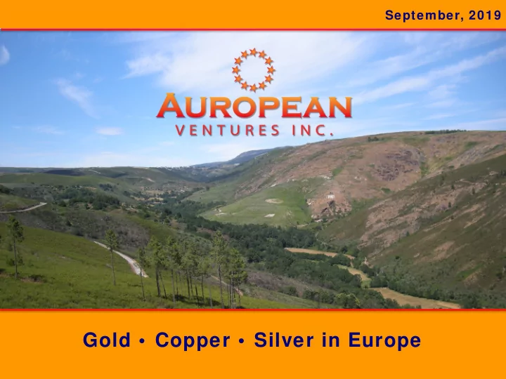 gold copper silver in europe forward looking statement