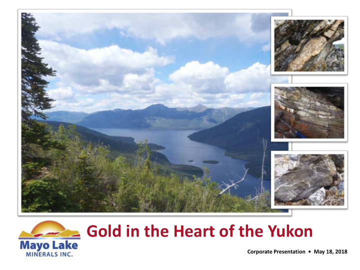 gold in the heart of the yukon