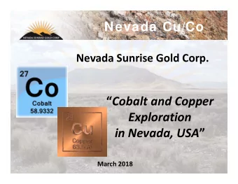 Nevada Cu/Co  Nevada Sunrise Gold Corp.  Cobalt and Copper  Exploration in Nevada, USA