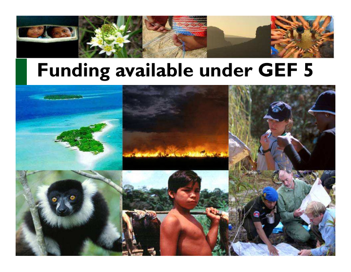 gef 5 focal area allocations