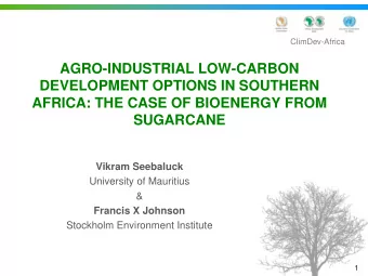 AGRO-INDUSTRIAL LOW-CARBON  DEVELOPMENT OPTIONS IN SOUTHERN  AFRICA: THE CASE OF BIOENERGY FROM