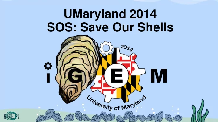 umaryland 2014