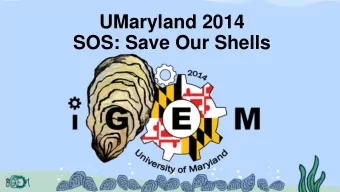 UMaryland 2014  SOS: Save Our Shells  Chesapeake Bay  National landmark:  largest estuary in U.S.