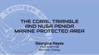 THE CORAL TRIANGLE  AND NUSA PENIDA  MARINE PROTECTED AREA  Georgina Hayes  PADI SI #411108  BSc