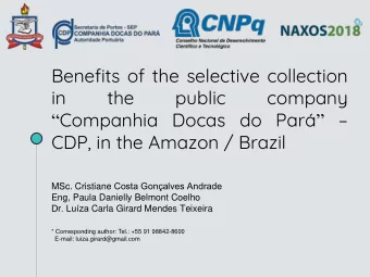 in  the  public  company  Companhia Docas do Par    CDP, in the Amazon / Brazil MSc.