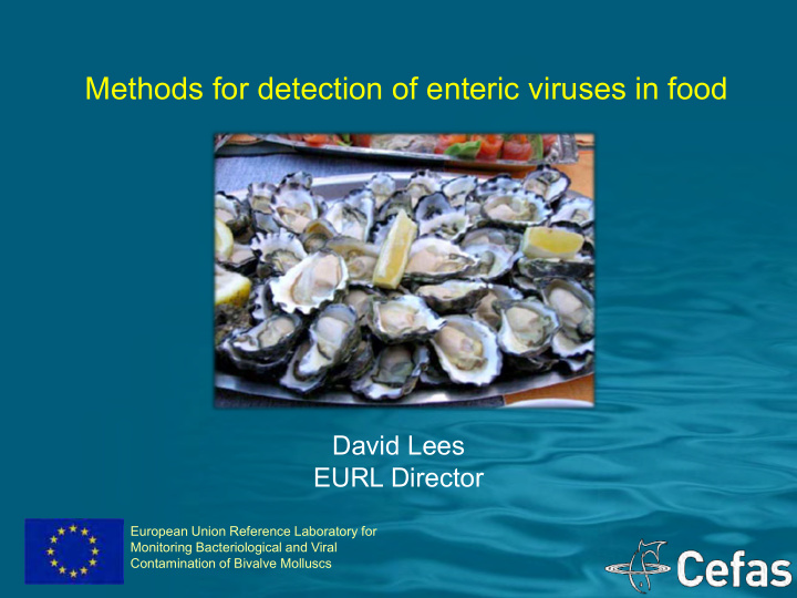 methods for detection of enteric viruses in food