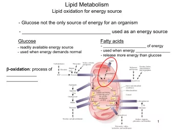 Lipid Metabolism  Lipid oxidation for energy source  - Glucose not the only source of energy for an