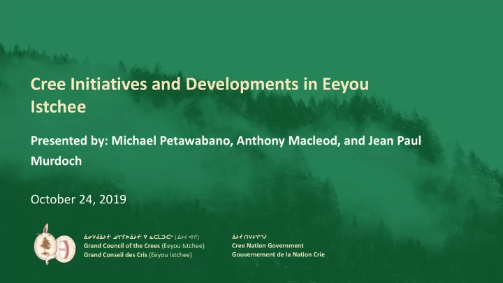 cree initiatives and developments in eeyou istchee