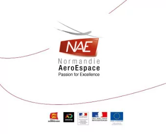 SECTOR OF EXCELLENCE  146members  Aeronautics  Space Nearly 3 billion  turnover 20 000 employees