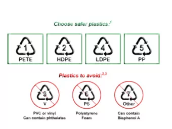 Water pump + Air pump  Air pump  Substrats  Seedlings in coconut coir / Semis dans fibre de coco