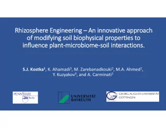 Rhizosphere Engineering  An innovative approach  of modifying soil biophysical properties to