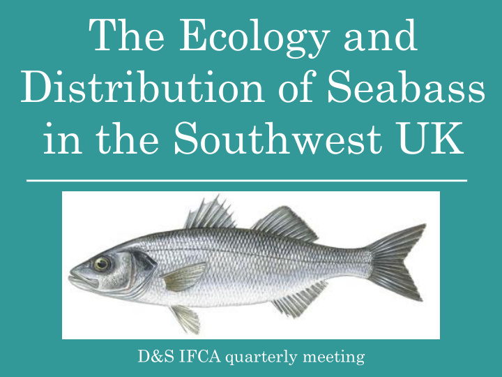 the ecology and distribution of seabass in the southwest