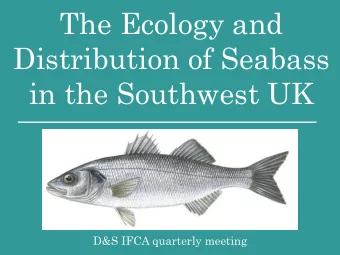 The Ecology and  Distribution of Seabass  in the Southwest UK  D&amp;S IFCA quarterly meeting  The