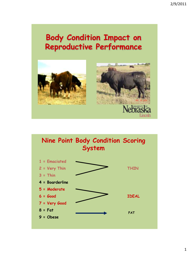 body condition impact on reproductive performance