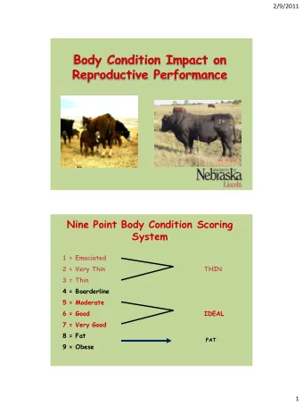 Body Condition Impact on  Reproductive Performance  Nine Point Body Condition Scoring  System  1 =