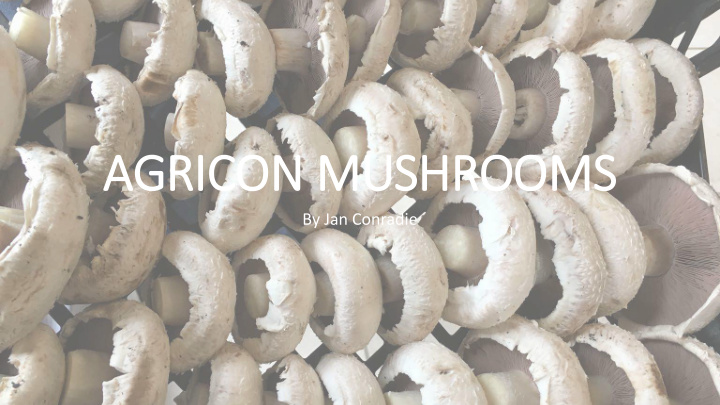 ag agricon mus mushrooms