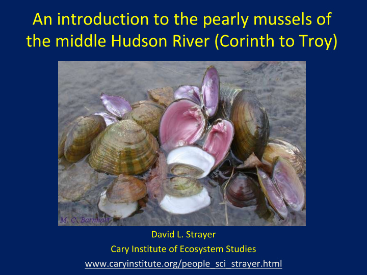 an introduction to the pearly mussels of the middle