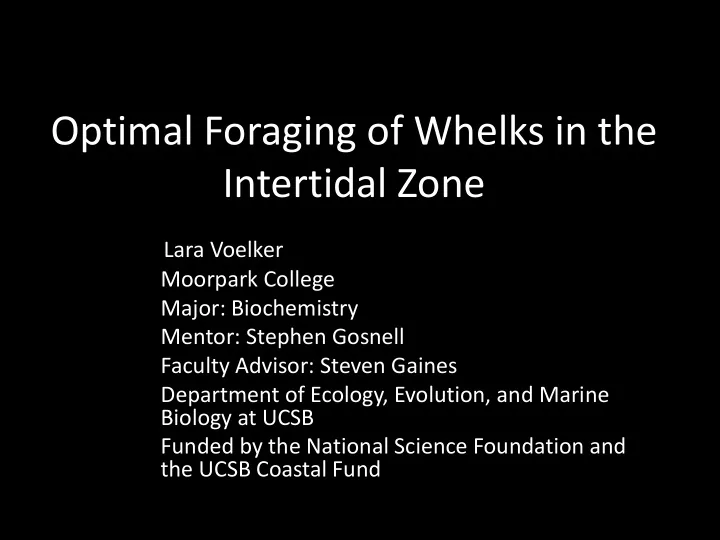 optimal foraging of whelks in the intertidal zone
