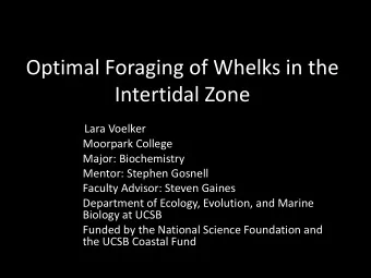 Optimal Foraging of Whelks in the  Intertidal Zone  Lara Voelker  Moorpark College  Major: