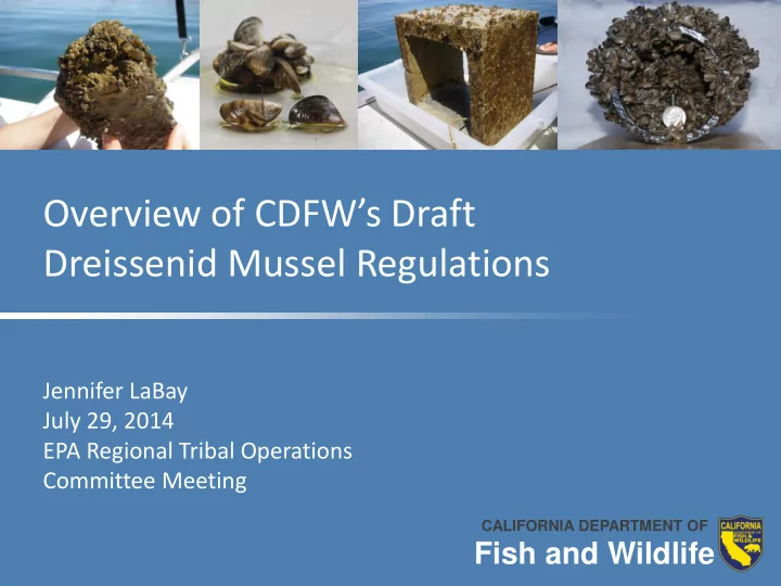 overview of cdfw s draft
