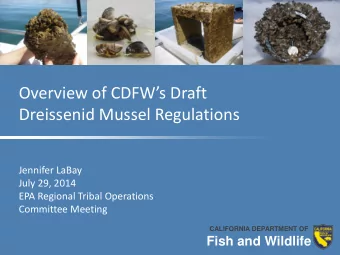 Overview of CDFWs Draft  Dreissenid Mussel Regulations  Jennifer LaBay  July 29, 2014  EPA