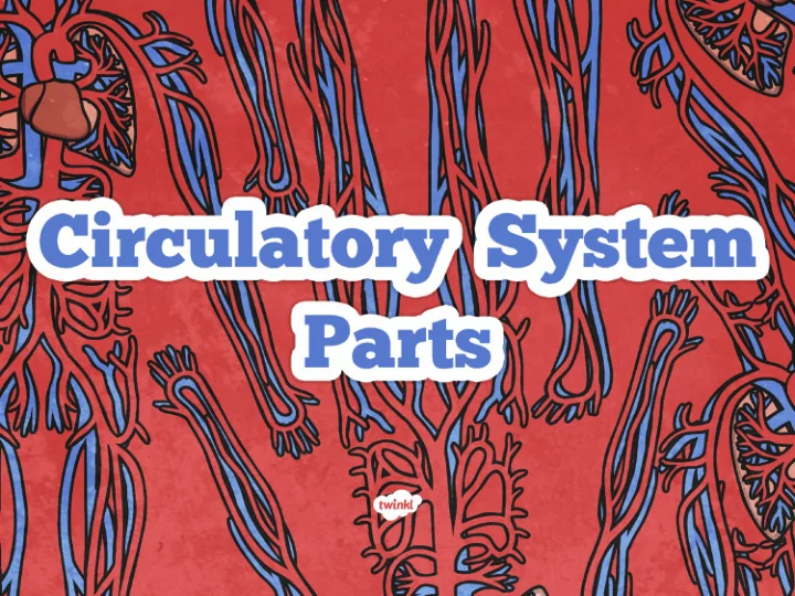 systems in the body systems in the body a reminder a