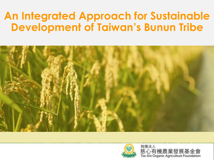 development of taiwan s bunun tribe nan an tribe natural