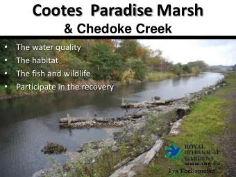 Cootes  Paradise Marsh  &amp; Chedoke Creek    The water quality    The habitat    The
