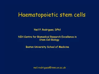Haematopoietic stem cells  Neil P. Rodrigues, DPhil  Neil P. Rodrigues, DPhil  NIH Centre for