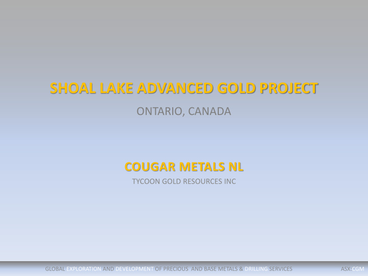 shoal lake advanced gold project