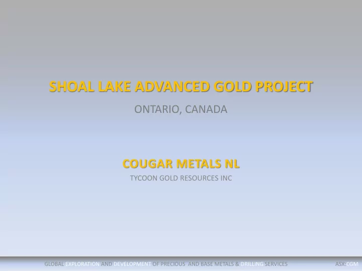 shoal lake advanced gold project