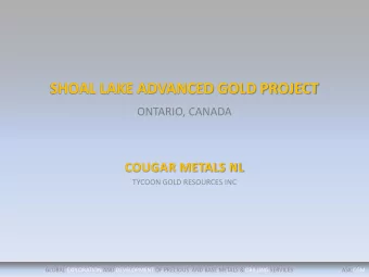 SHOAL LAKE ADVANCED GOLD PROJECT  ONTARIO, CANADA  COUGAR METALS NL  TYCOON GOLD RESOURCES INC