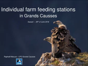 Individual farm feeding stations  in Grands Causses Sassari  30 th of June 2016 Raphal Nouze