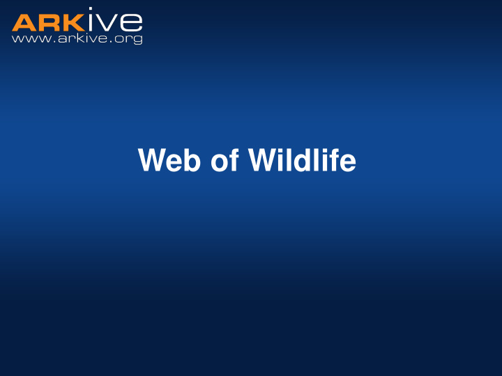 web of wildlife food and food chains