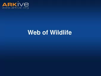 Web of Wildlife  Food and food chains  All living things need food to survive.  Organisms