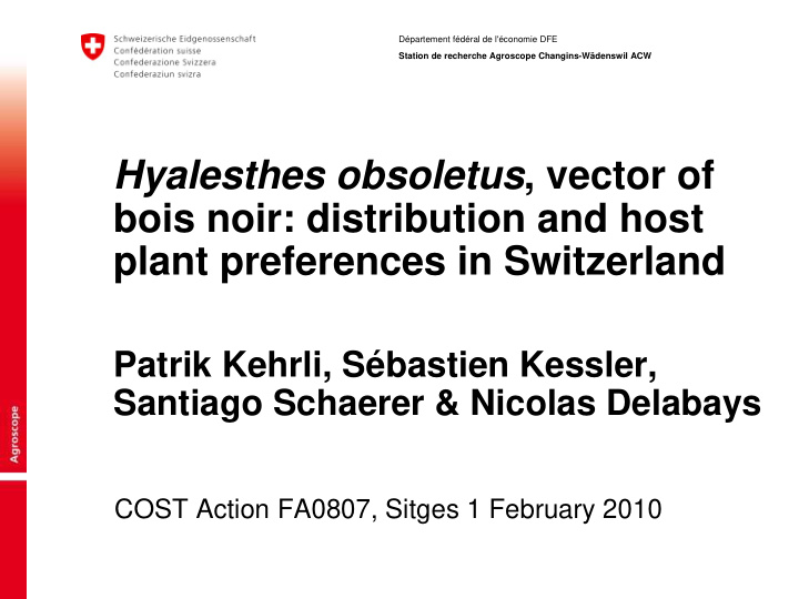 hyalesthes obsoletus vector of bois noir distribution and