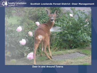 Deer In and Around Towns  FES Background  Forest Enterprise Scotland is an agency of Forestry
