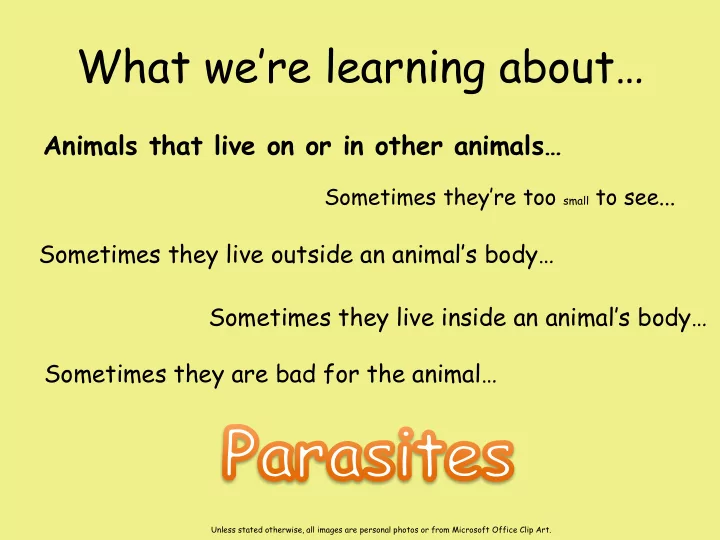 what we re learning about