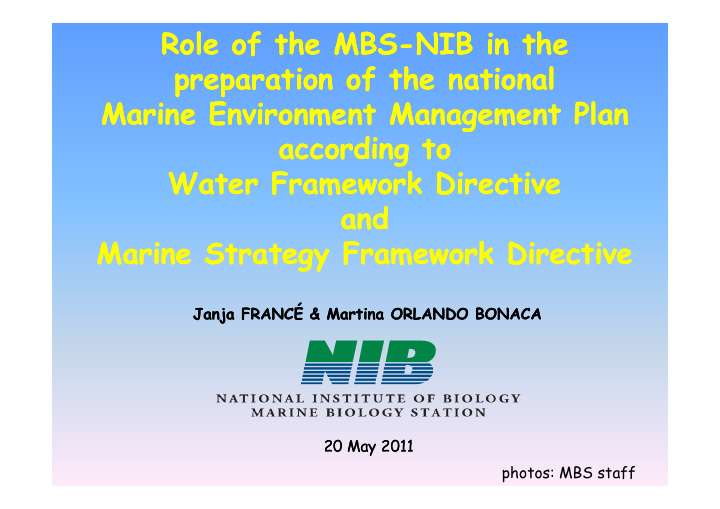 role role of of the the mbs mbs nib in nib in the the