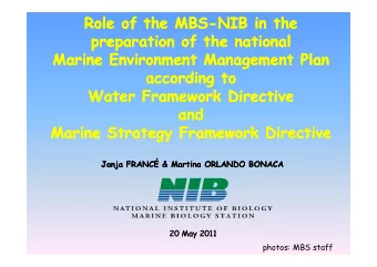 Role  Role of  of the  the MBS  MBS-NIB in  NIB in the  the  preparation of  preparation  of the