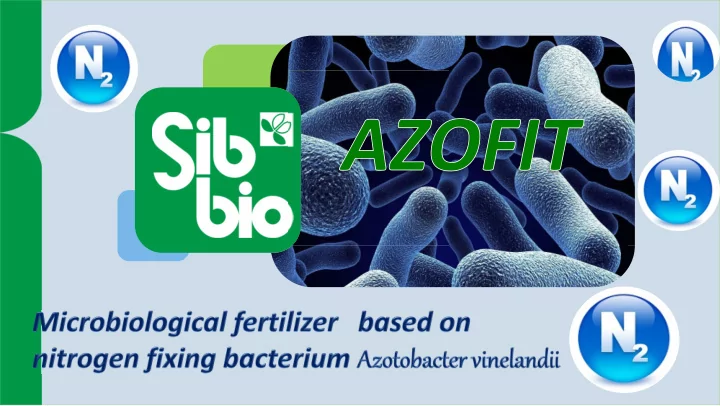 other oxygen gases 21 1 nitrogen 78 bacteria azotobacter