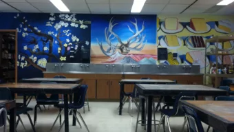 Next Generation Science Standards