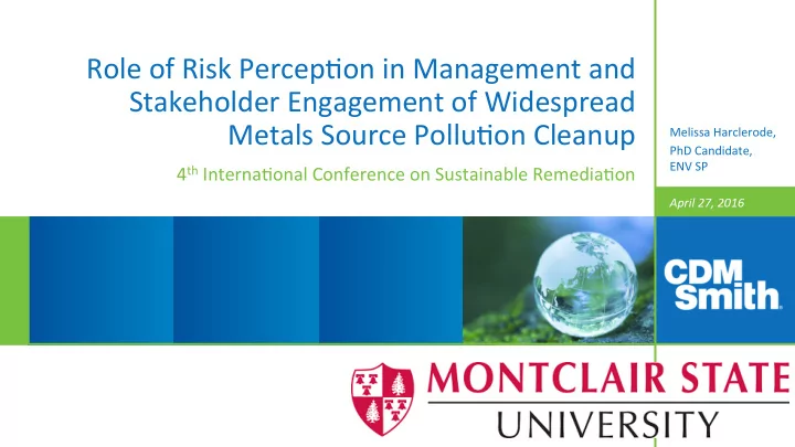 role of risk percep on in management and stakeholder